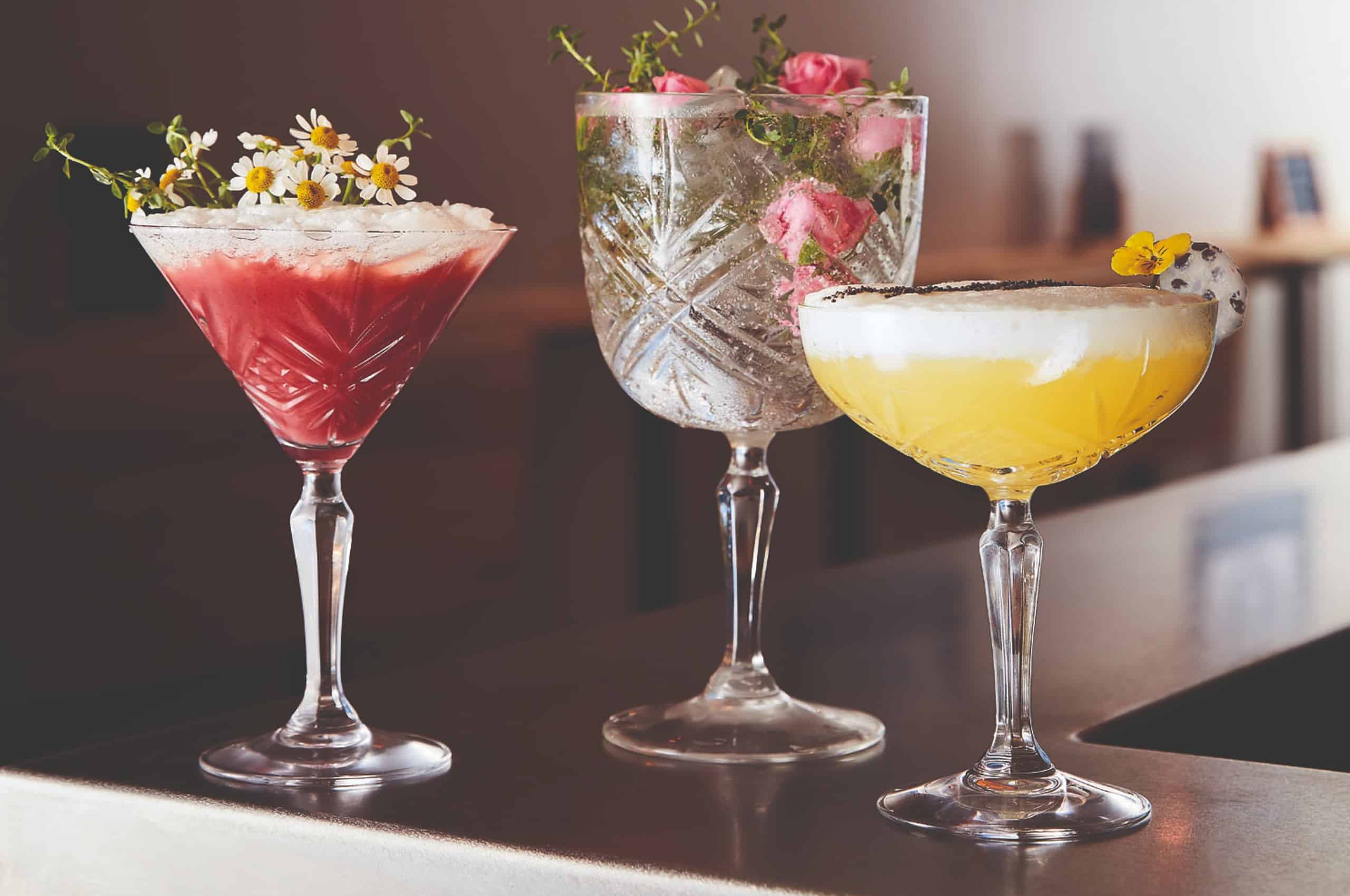 Gourmet Cocktails at Ben Davis blog